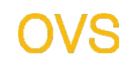 OVS